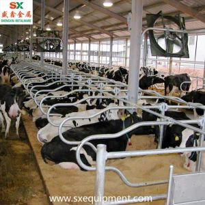 দুগ্ধজাত গৰুবিহীন ষ্টল